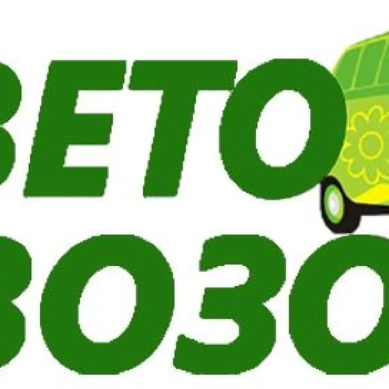 Букет Тест, доставка Вытегра